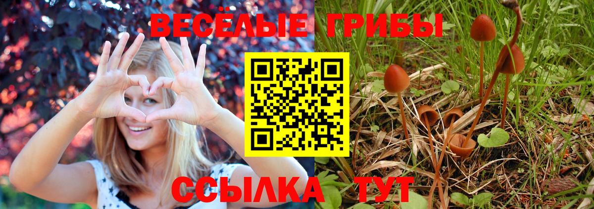 Псилоцибиновые грибы мицелий Воскресенск