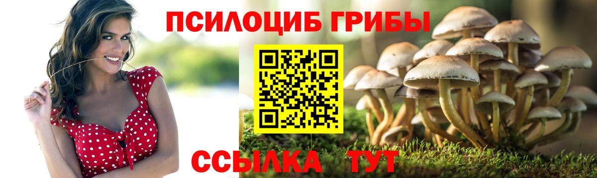 Галлюциногенные грибы Cubensis  Псилоцибиновые грибы Cubensis  Вход с VPN  Воскресенск 